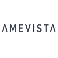 Amevista IT