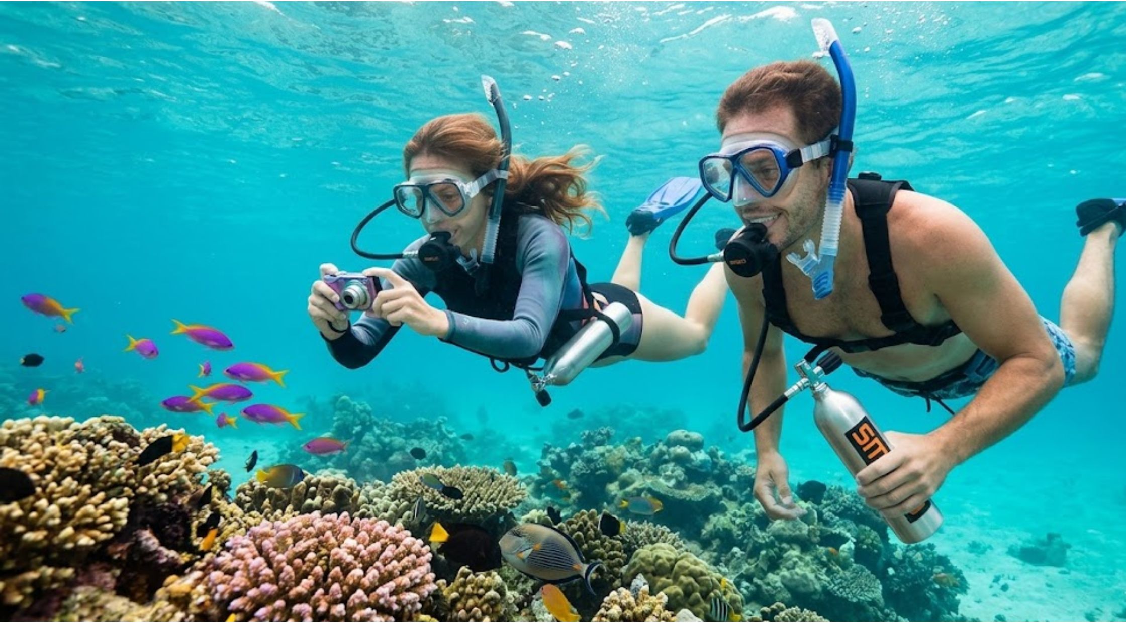 Learn How to Enjoy Diving Without All the Bulky Gear!